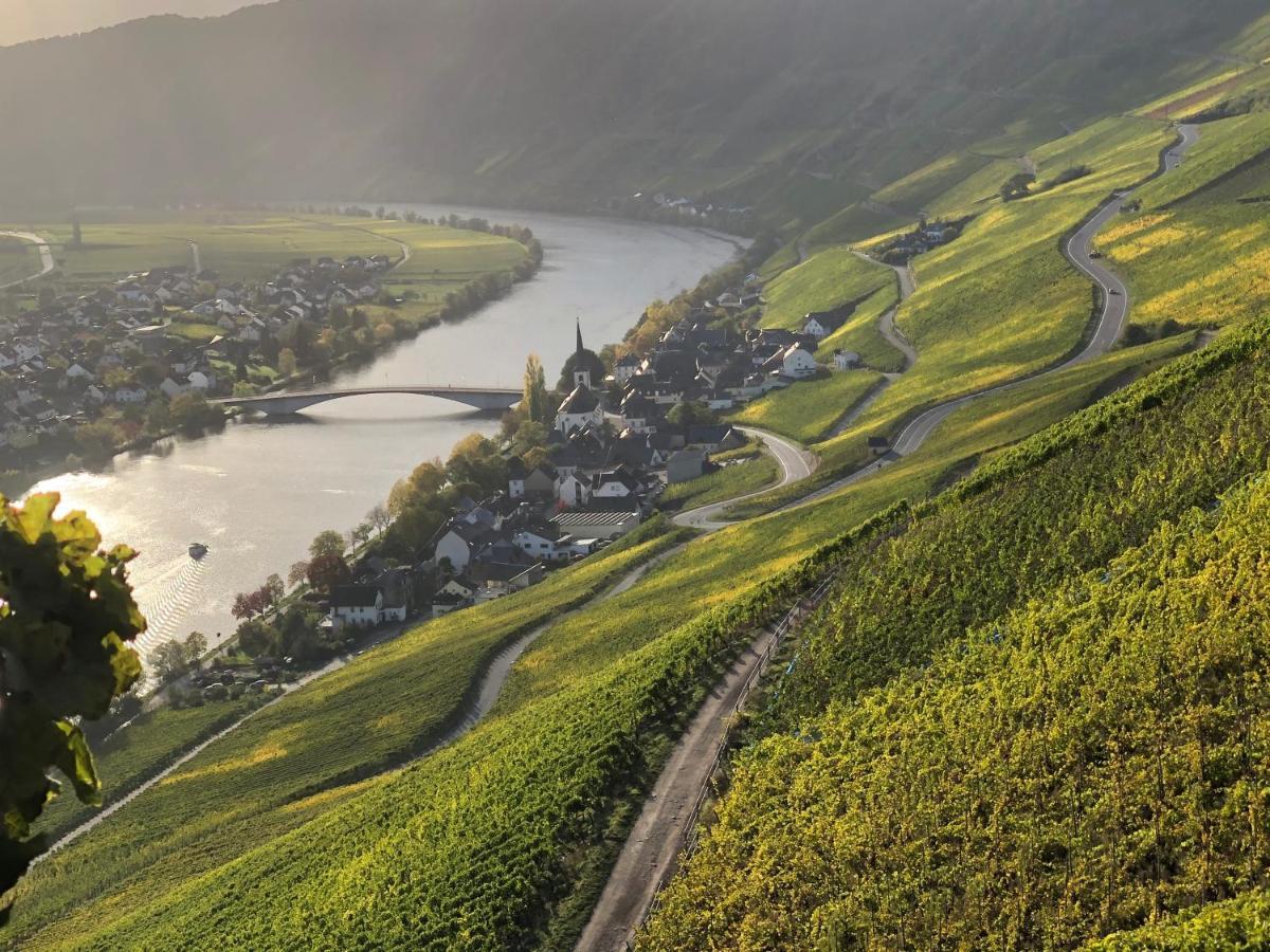 Weingut Lehnert-Spaeter Piesport Exterior photo